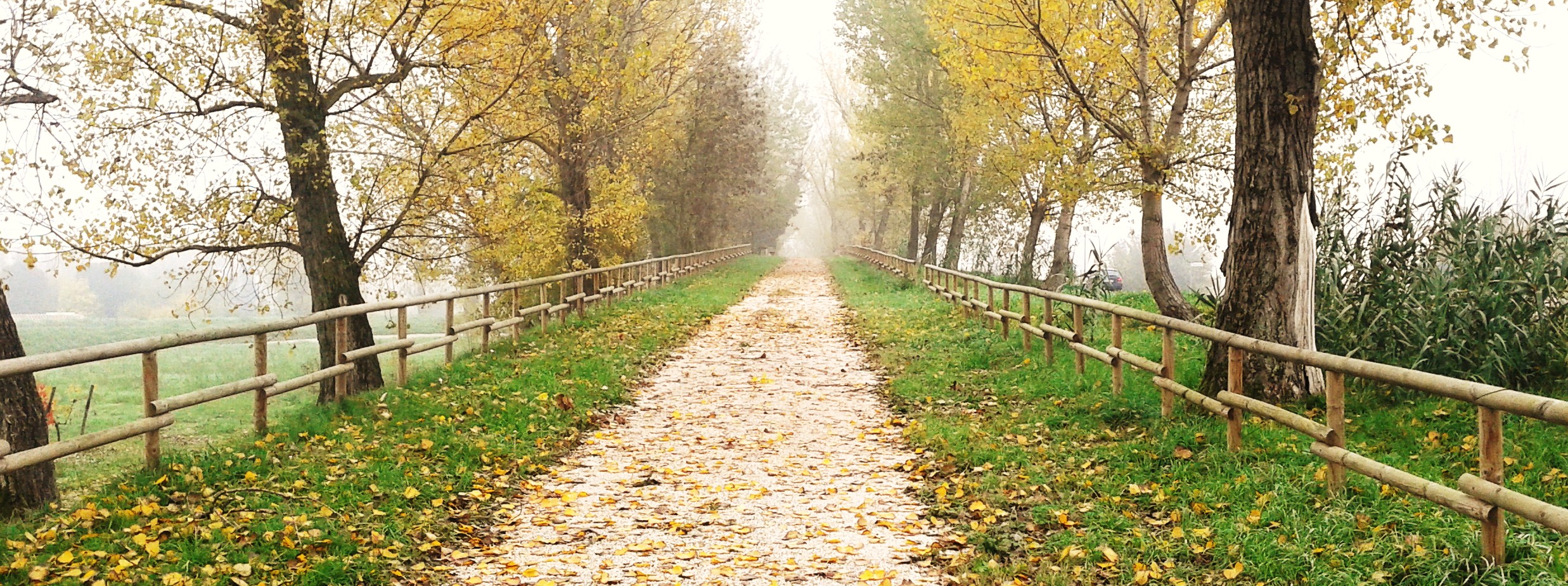 20121125_113708